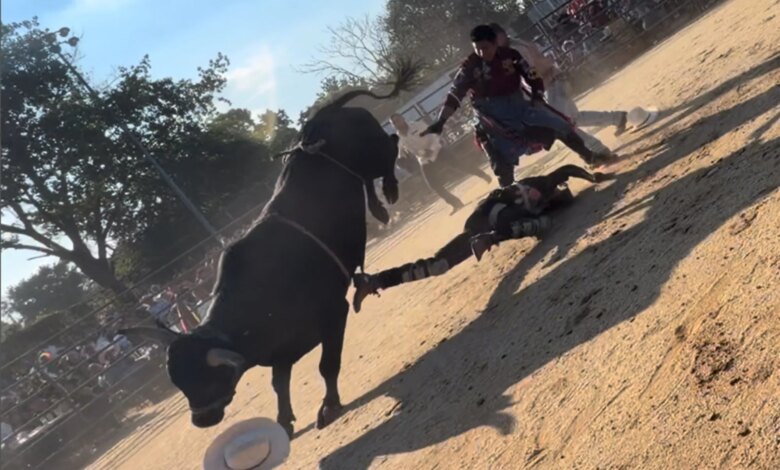 Bull rider, 25, hospitalized after being trampled at NYC rodeo: video