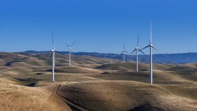 Wind turbines in the Altamont Pass Wind Resource Area.