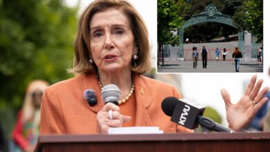 Former House Speaker Nancy Pelosi's post-Congress job revealed