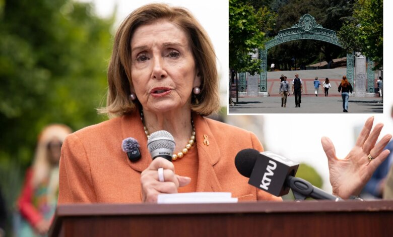 Former House Speaker Nancy Pelosi's post-Congress job revealed