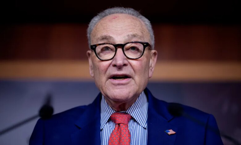 Senate Minority Leader Chuck Schumer speaking at a press conference.