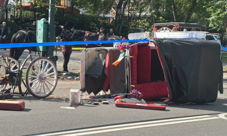 The carriage-horse question: Letters