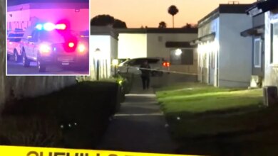 2-year-old boy shot dead at Highland home as disturbing details emerge