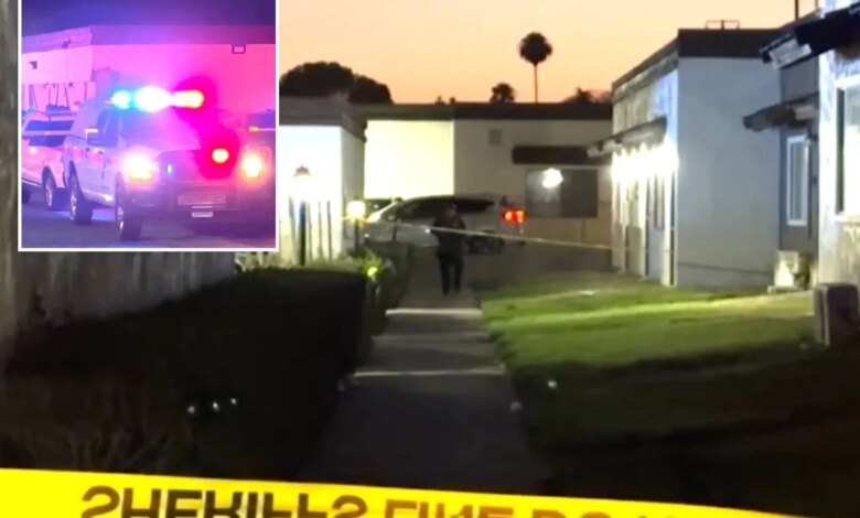 2-year-old boy shot dead at Highland home as disturbing details emerge