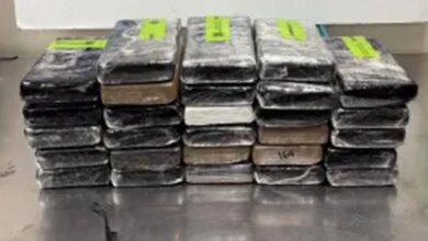 Border patrol agents seized packages containing cocaine
