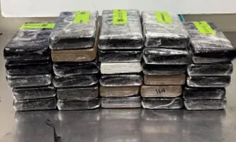 Border patrol agents seized packages containing cocaine