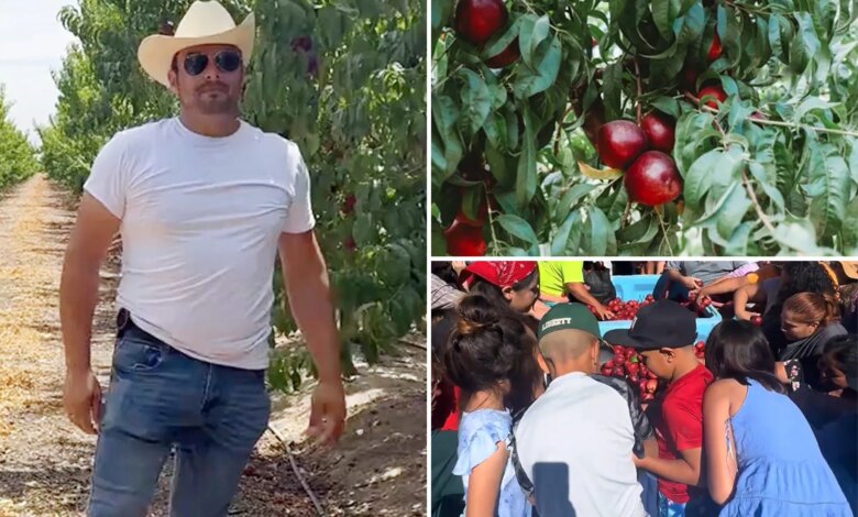 Central Valley farmer gives away thousands of free nectarines amid legal battle