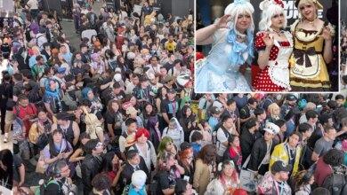 Dangerous conditions at LA Anime Expo as crowds pack halls