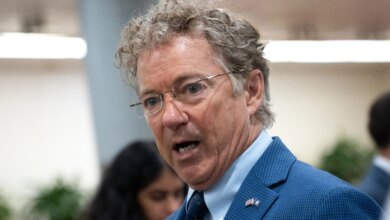 Democrats damn themselves with no-shows at hearing on fraud