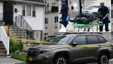 Disgruntled son, 26, arrested for stabbing retired corrections officer mom to death in NYC home