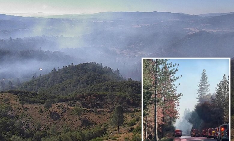 Fast-moving Dove Fire wreaks havoc, causes mass evacuations