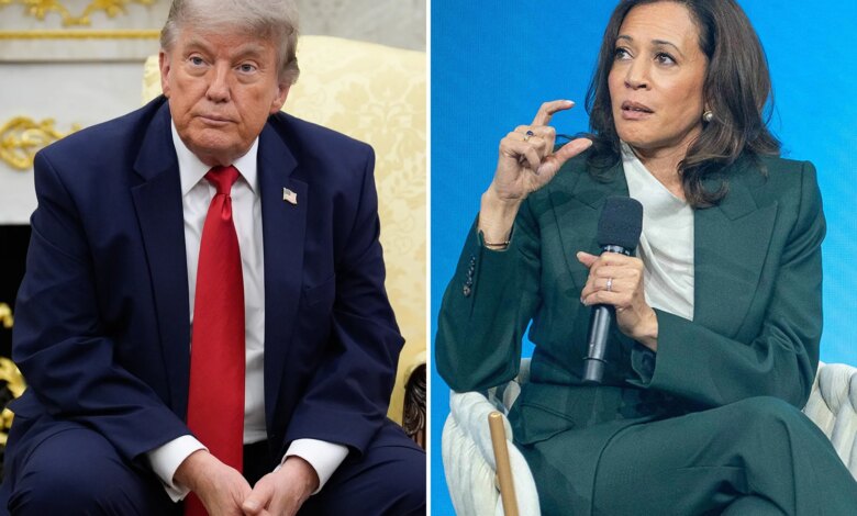 Kamala Harris must oppose, not appease, extremists in her party