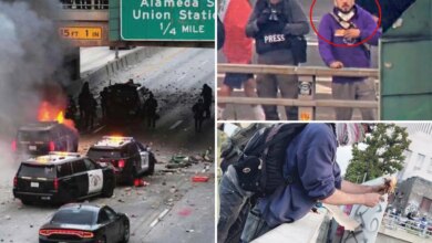LA anti-ICE rioter sentenced for attacking CHP officers