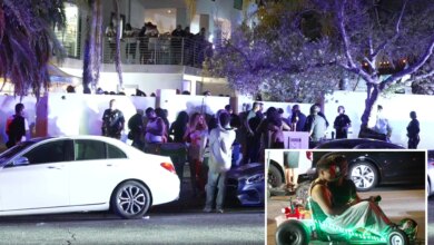 Massive Project X-style party with over 2,000 people at celebrity's LA mansion causes utter chaos