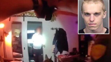 San Francisco kitten torture suspect caught in Nevada