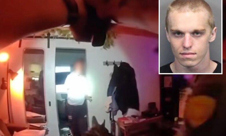 San Francisco kitten torture suspect caught in Nevada