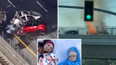 Silicon Valley boss charged for 145mph crash that killed mom and daughter