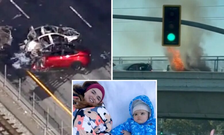 Silicon Valley boss charged for 145mph crash that killed mom and daughter