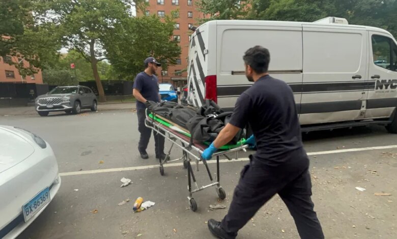 Two personnel from the NYC Office of the Chief Medical Examiner moving skeletal remains on a stretcher into a white van.