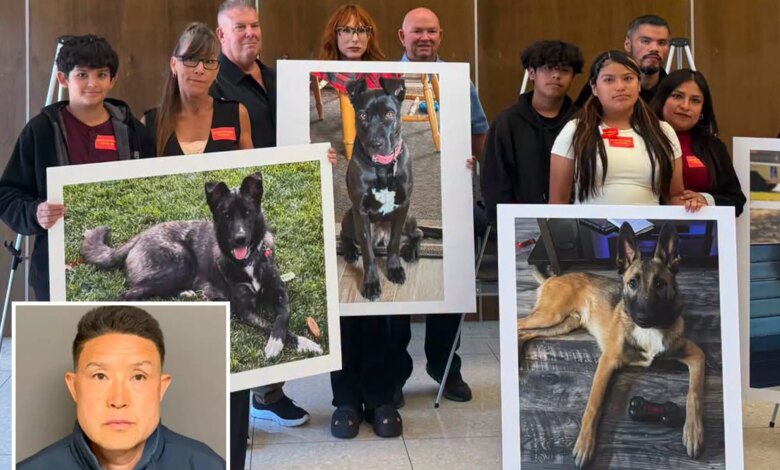 SoCal Dog trainer learns fate for trapping animals in small cages, leaving them to die
