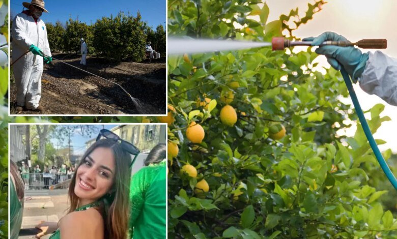 After rare OC cancer California restricts toxic weedkiller
