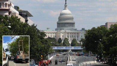 California man arrested near Capitol with guillotine in pickup truck, cops say