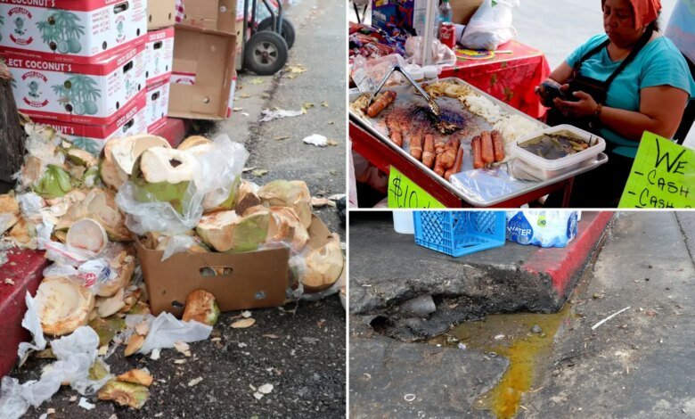 Disgusting details of 10K LA street food vending complaints revealed