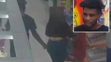 Man gropes woman pushing child in cart at California Target
