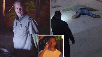 Man with dog caught prowling Nia Long's Hollywood Hills mansion