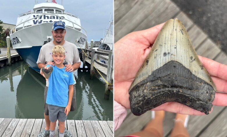 Massive tooth of 3.6M-year-old megalodon — largest shark to ever live — discovered on Jersey Shore