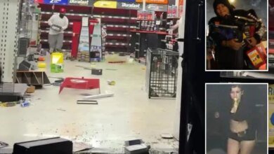 Mob of looters who struck LA AutoZone twice in 24 hours pictured by police