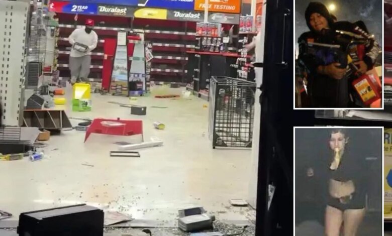 Mob of looters who struck LA AutoZone twice in 24 hours pictured by police