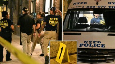 NYC school worker killed, buddy stabbed by maniac with 13 prior busts: sources