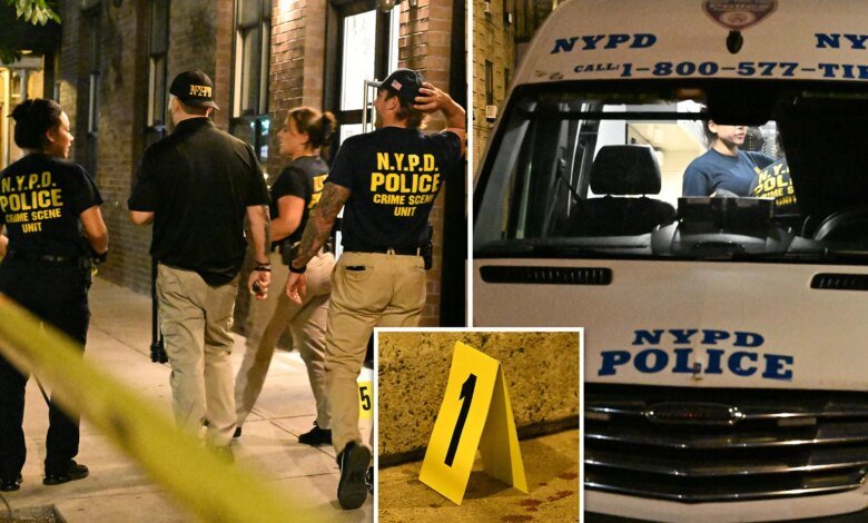 NYC school worker killed, buddy stabbed by maniac with 13 prior busts: sources