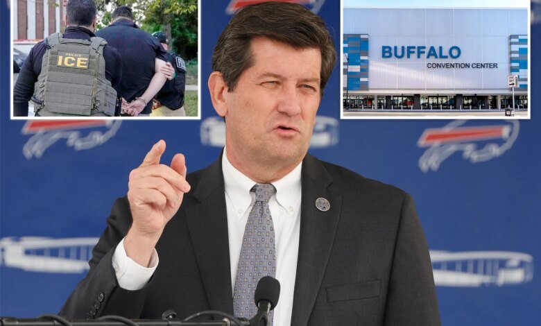 New York's Erie County axes DHS job fair over ICE's role, drawing backlash: 'Totally inappropriate'