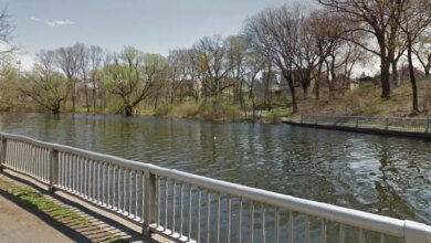 A grey metal railing on the left, next to a path, overlooks a body of water with trees on the far bank and a second railing along that bank.