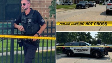 Two brothers found fatally shot in LI home