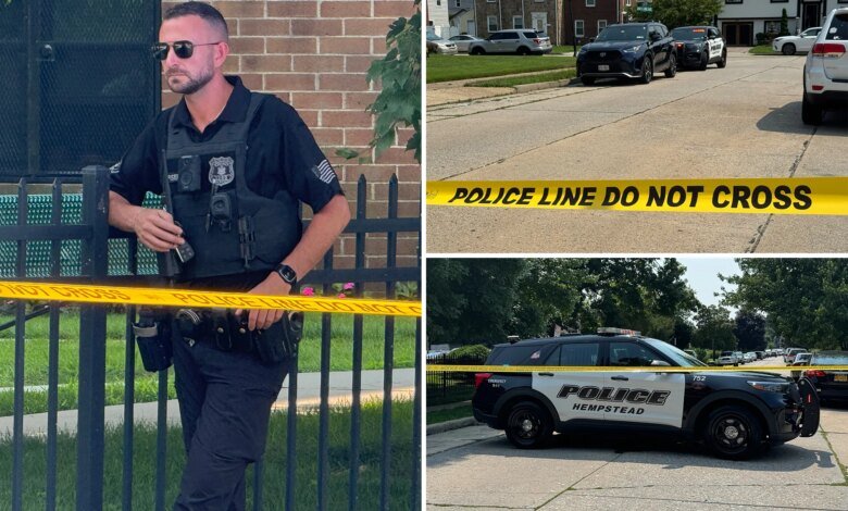 Two brothers found fatally shot in LI home