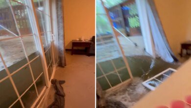 Dramatic video captures floodwaters bursting through glass doors of college students’ home