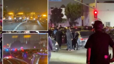 LAPD street takeover sting detains 300, targets 100 cars