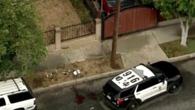 Overhead view of a Los Angeles Police Department cruiser parked on a street next to bloodstains on the ground.