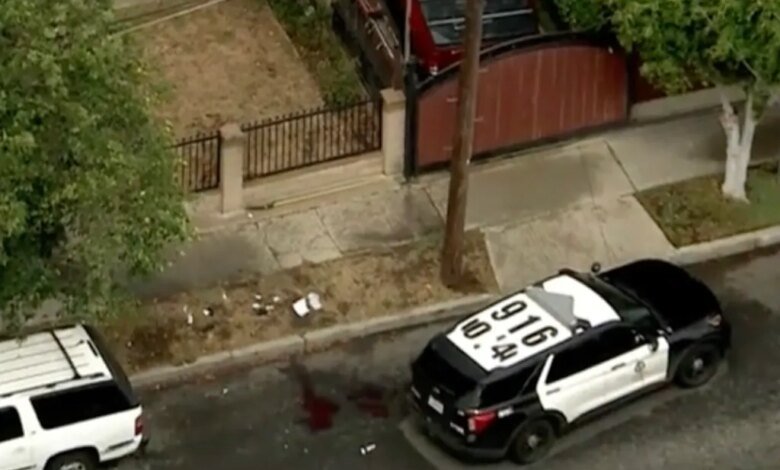 Overhead view of a Los Angeles Police Department cruiser parked on a street next to bloodstains on the ground.