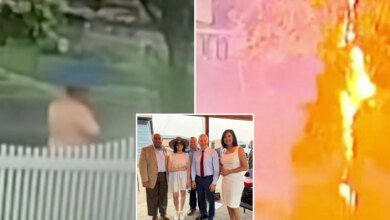 NY GOP Congressional staffer Thomas Fahmy struck by lightning on Staten Island
