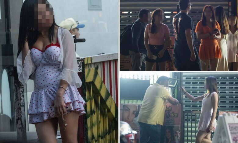 NYPD making 60% less arrests at Queens' notorious ‘Market of Sweethearts’ strip