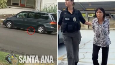 Anaheim woman arrested after puppy intentionally run over in Santa Ana