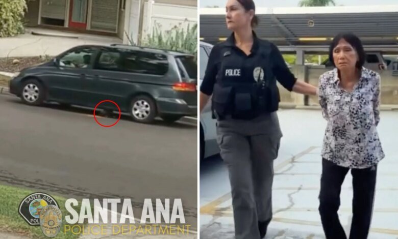 Anaheim woman arrested after puppy intentionally run over in Santa Ana