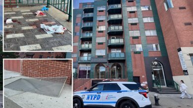 Boy, 2, plunges from NYC building days after alleged shove killed Bronx mom, injured baby