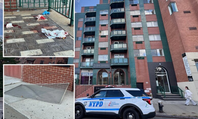 Boy, 2, plunges from NYC building days after alleged shove killed Bronx mom, injured baby