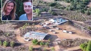California son 'married' mom before poisoning her, buried body near home: district attorney