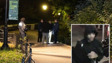Creep wanted for raping woman at knifepoint in Central Park pictured for first time
